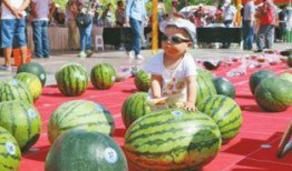 吃瓜网每日大赛 哪些娱乐新闻最受欢迎,盘点最受欢迎的娱乐新闻